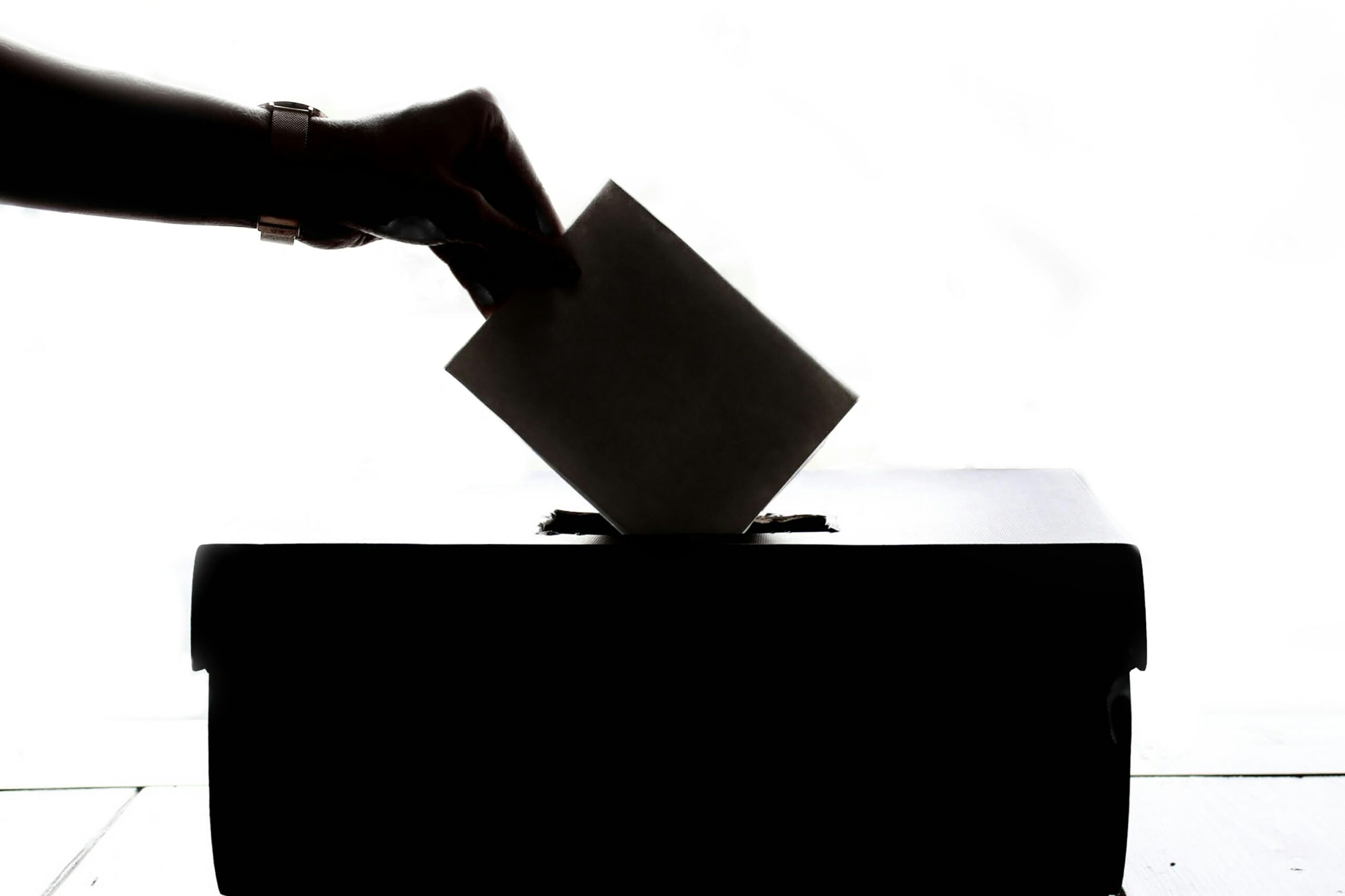 7. Jugendparlament Oberhausen gewählt: Wahlbeteiligung steigt deutlich